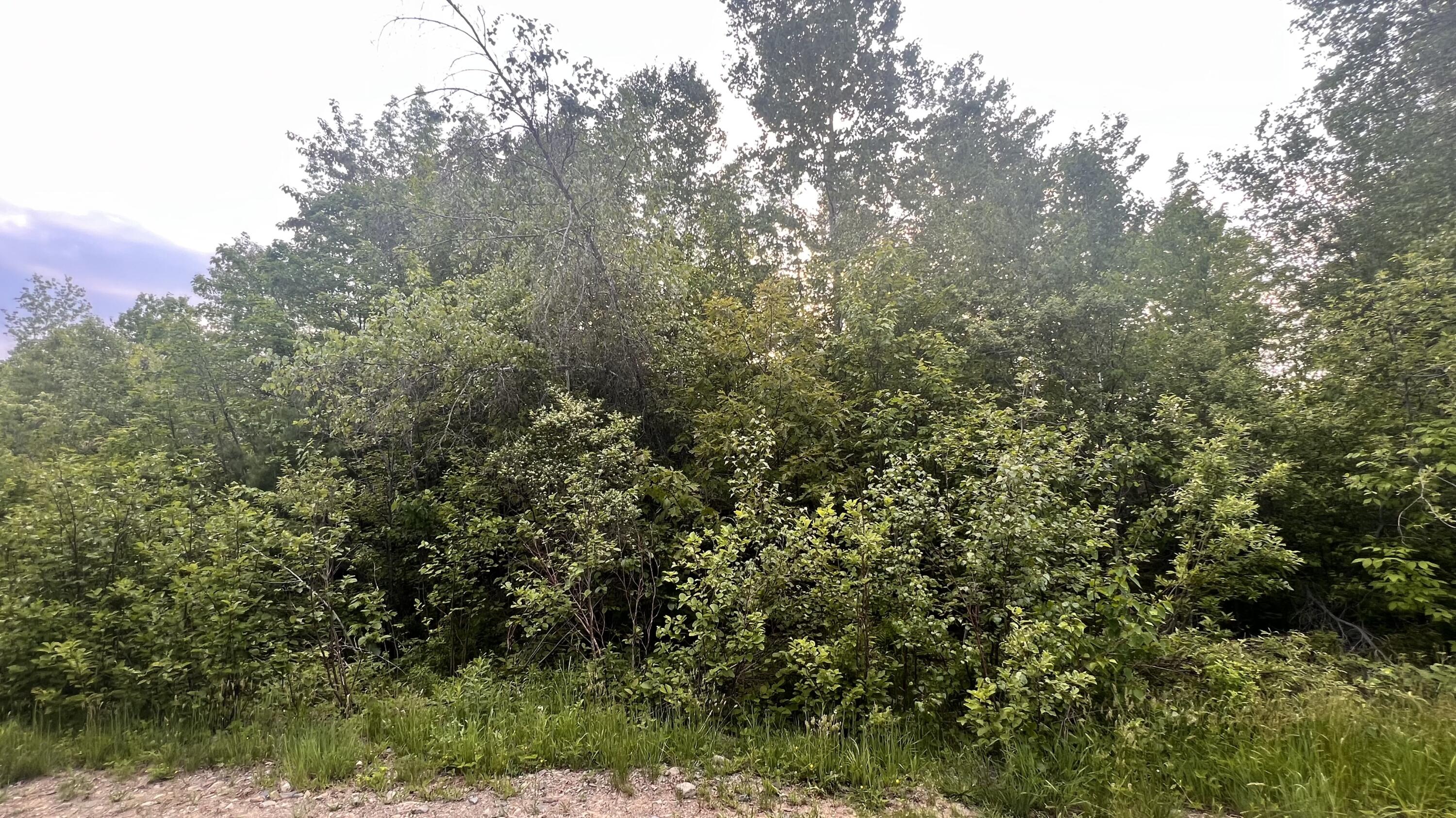 4 Map Road Guilford, ME 04443 - Photo 6 of 19 IMG_4026