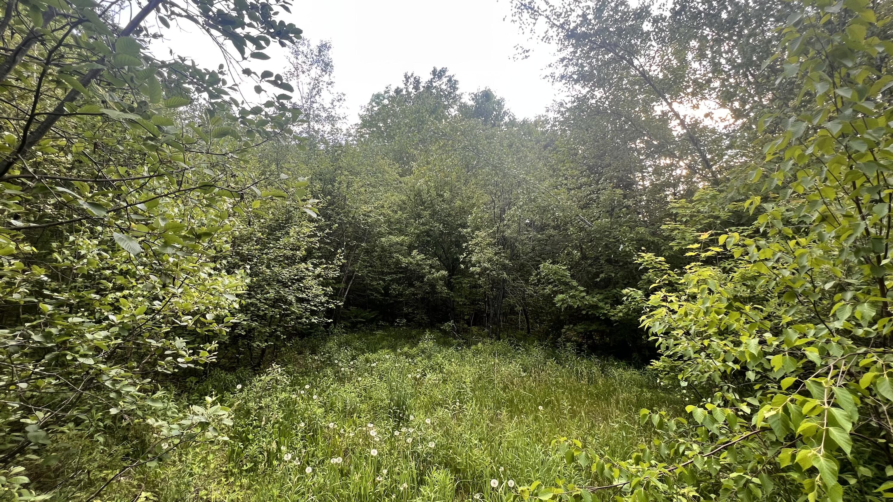 4 Map Road Guilford, ME 04443 - Photo 7 of 19 IMG_4029