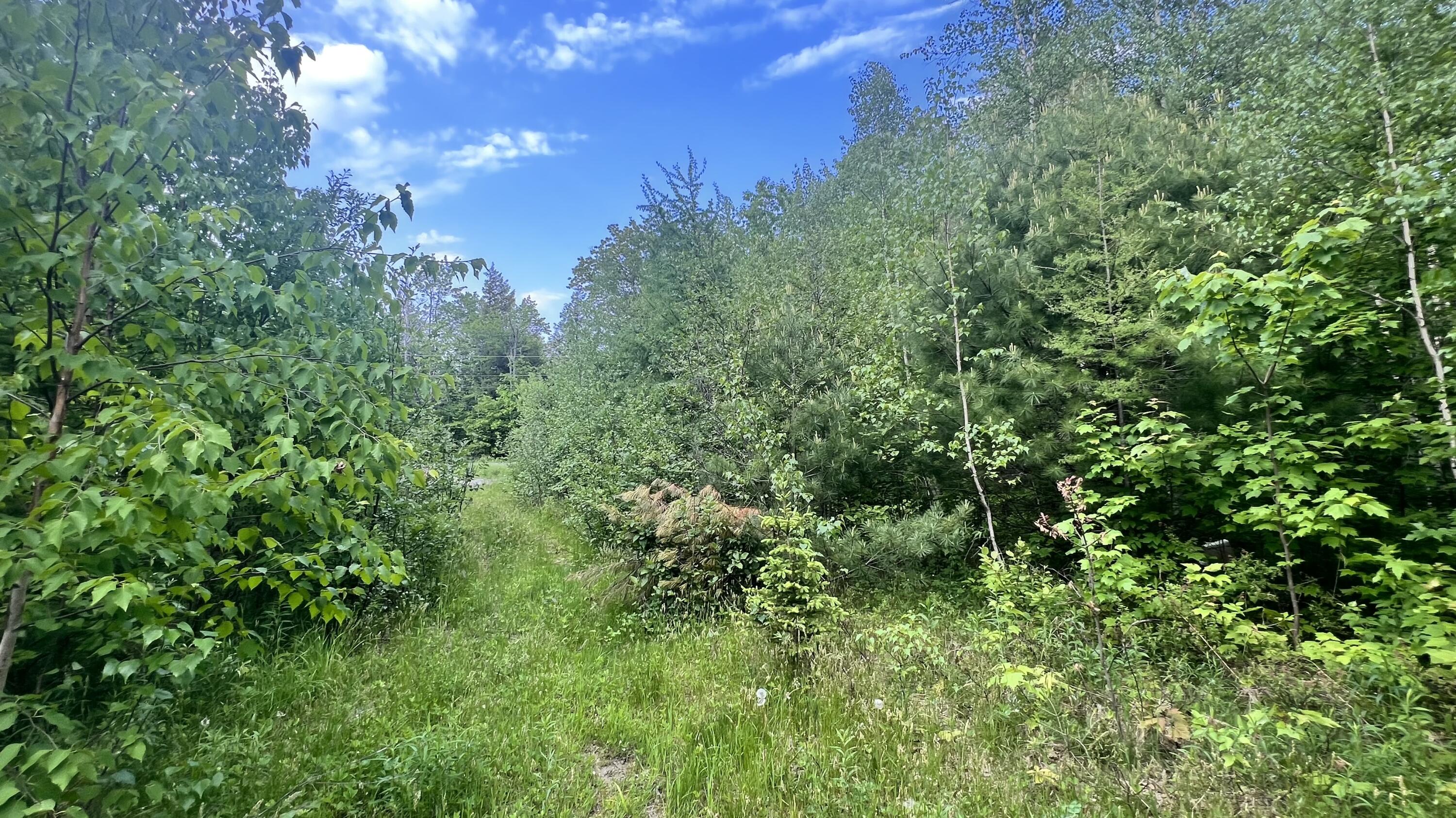 4 Map Road Guilford, ME 04443 - Photo 8 of 19 IMG_4030