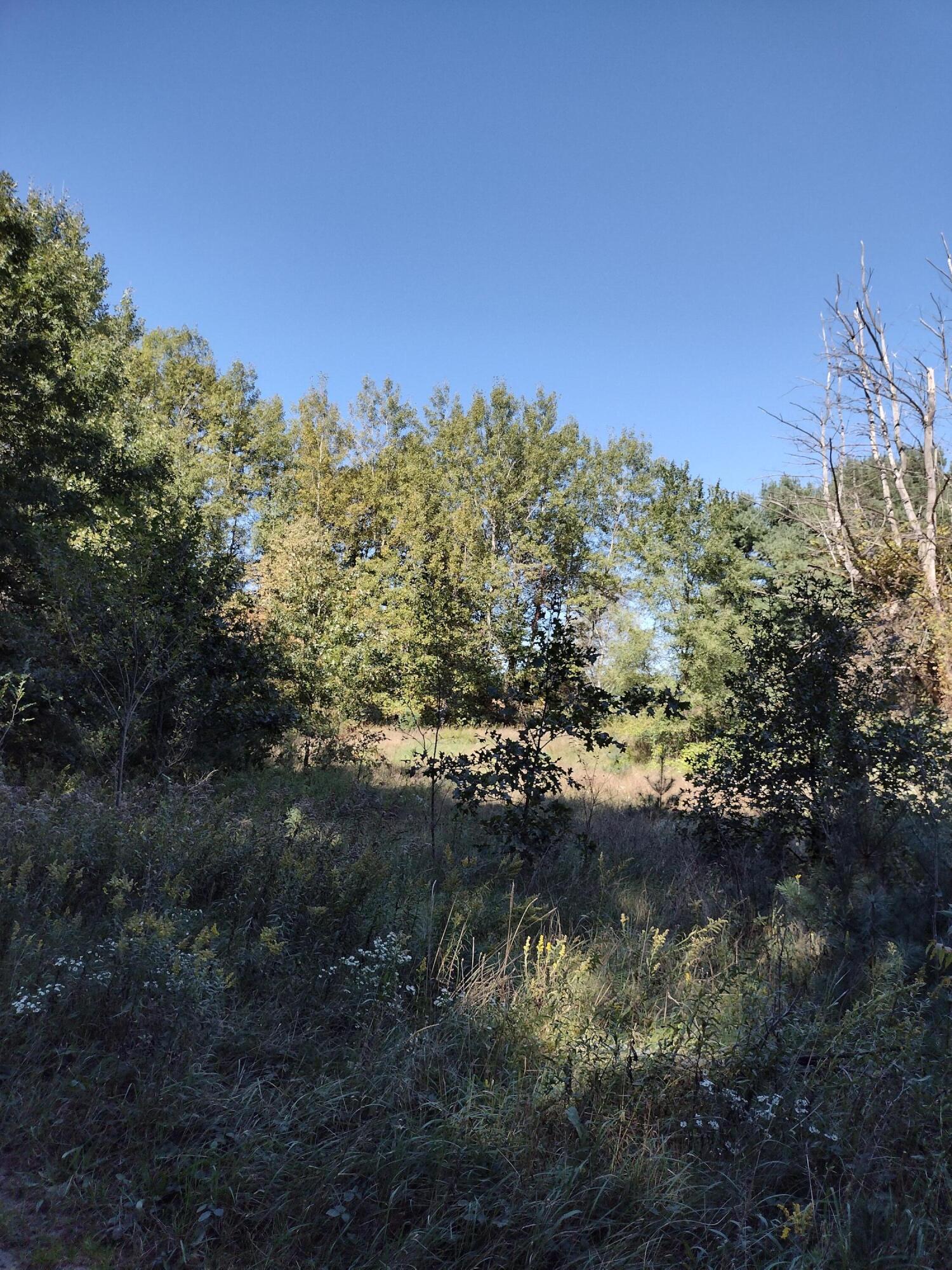 IMG_20210928_125309676_HDR
