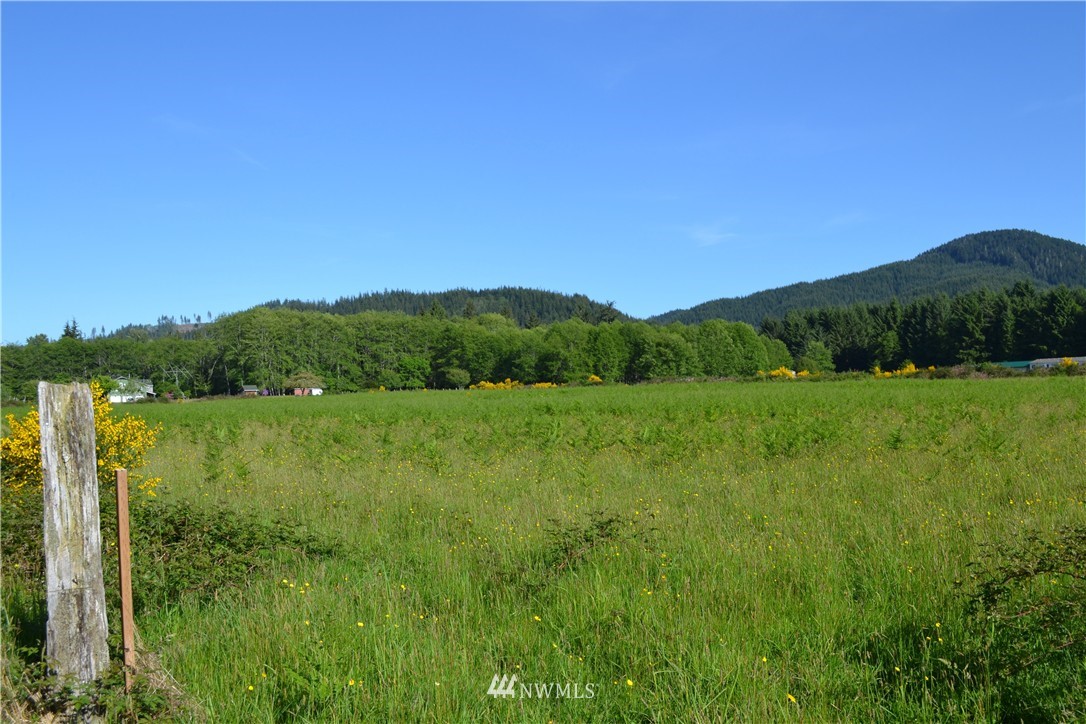 9999 Lot 10 Palmer Rd Forks Forks, WA 98331 - Photo 1 of 2 Gallery Image 1