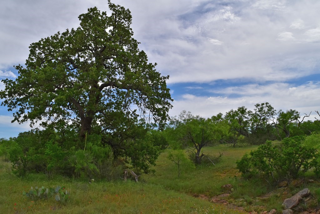 - Keyserville Road Mason, TX 76856 - Photo 8 of 25 Gallery Image 8