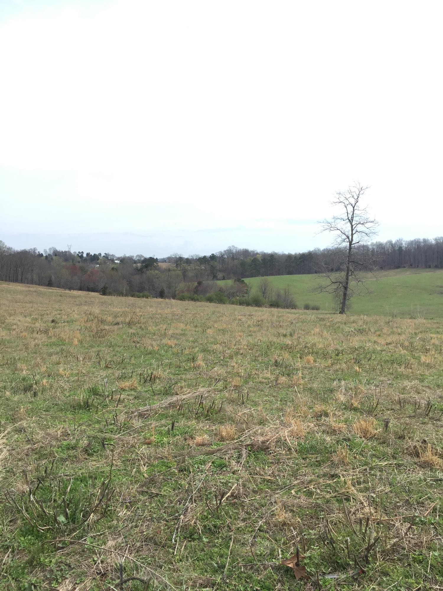 0 Erie Road Vonore, TN 37885 - Photo 2 of 29 a view of a lake with a yard