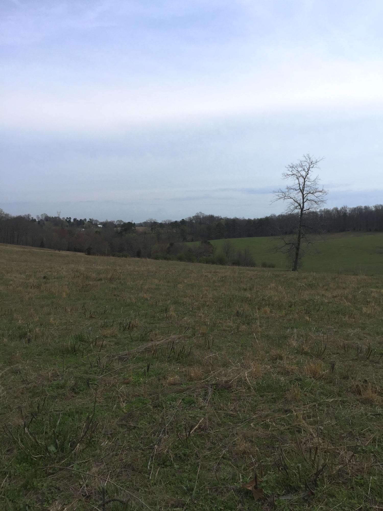 0 Erie Road Vonore, TN 37885 - Photo 3 of 29 a view of lake