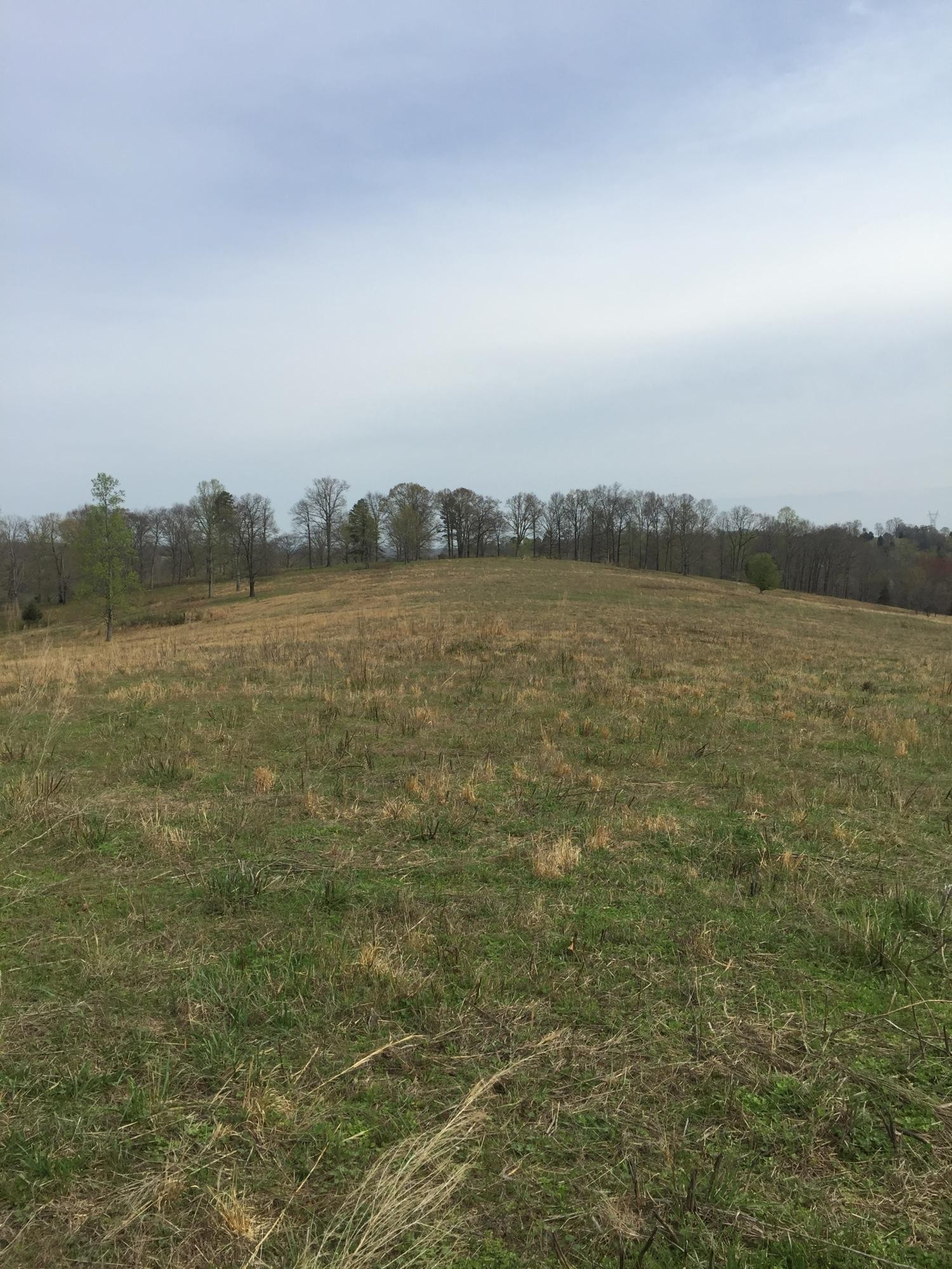 0 Erie Road Vonore, TN 37885 - Photo 8 of 29 a view of a lake view and mountain view