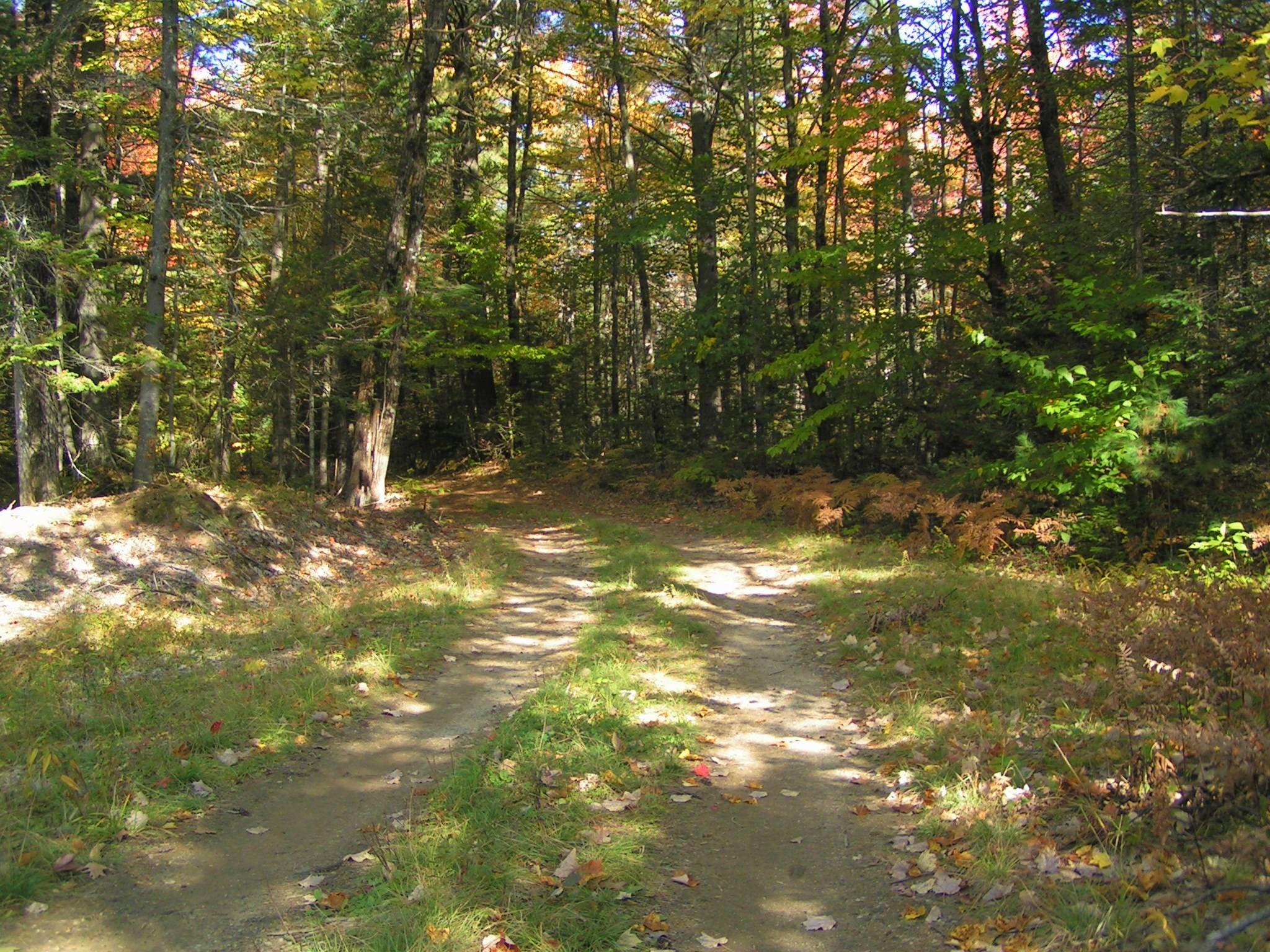 0 Buckfield Road South Paris, ME 04281 - Photo 3 of 11 PICT0033