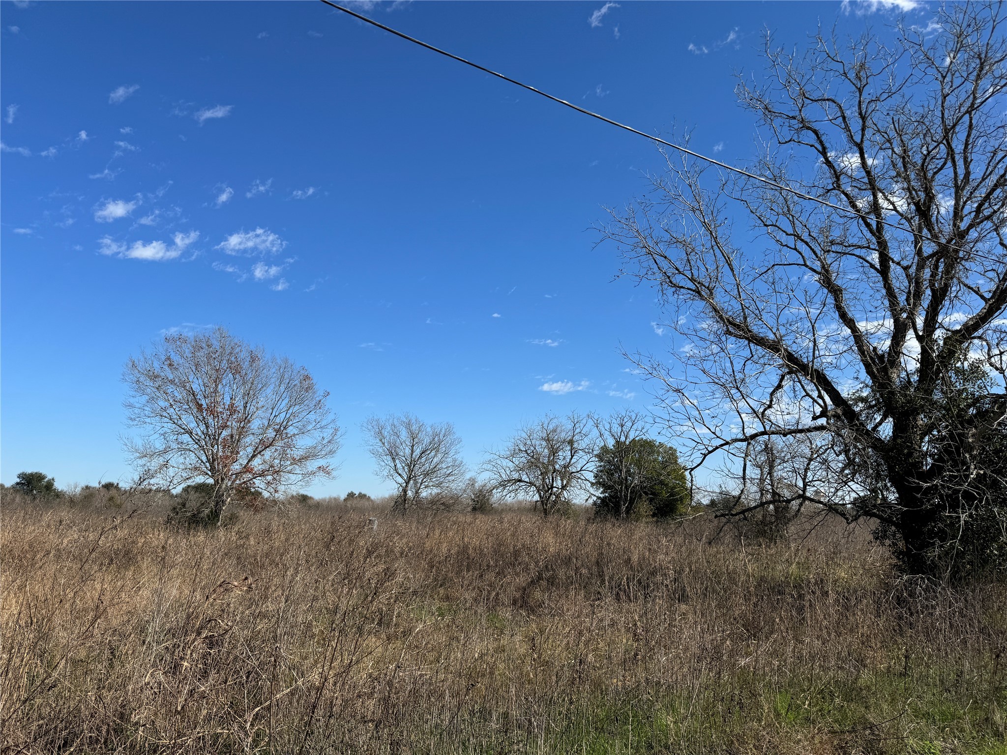 359 Rd Fulshear Tx 77406 Road Fulshear, TX 77441 - Photo 12 of 16 a view of a dry yard with trees