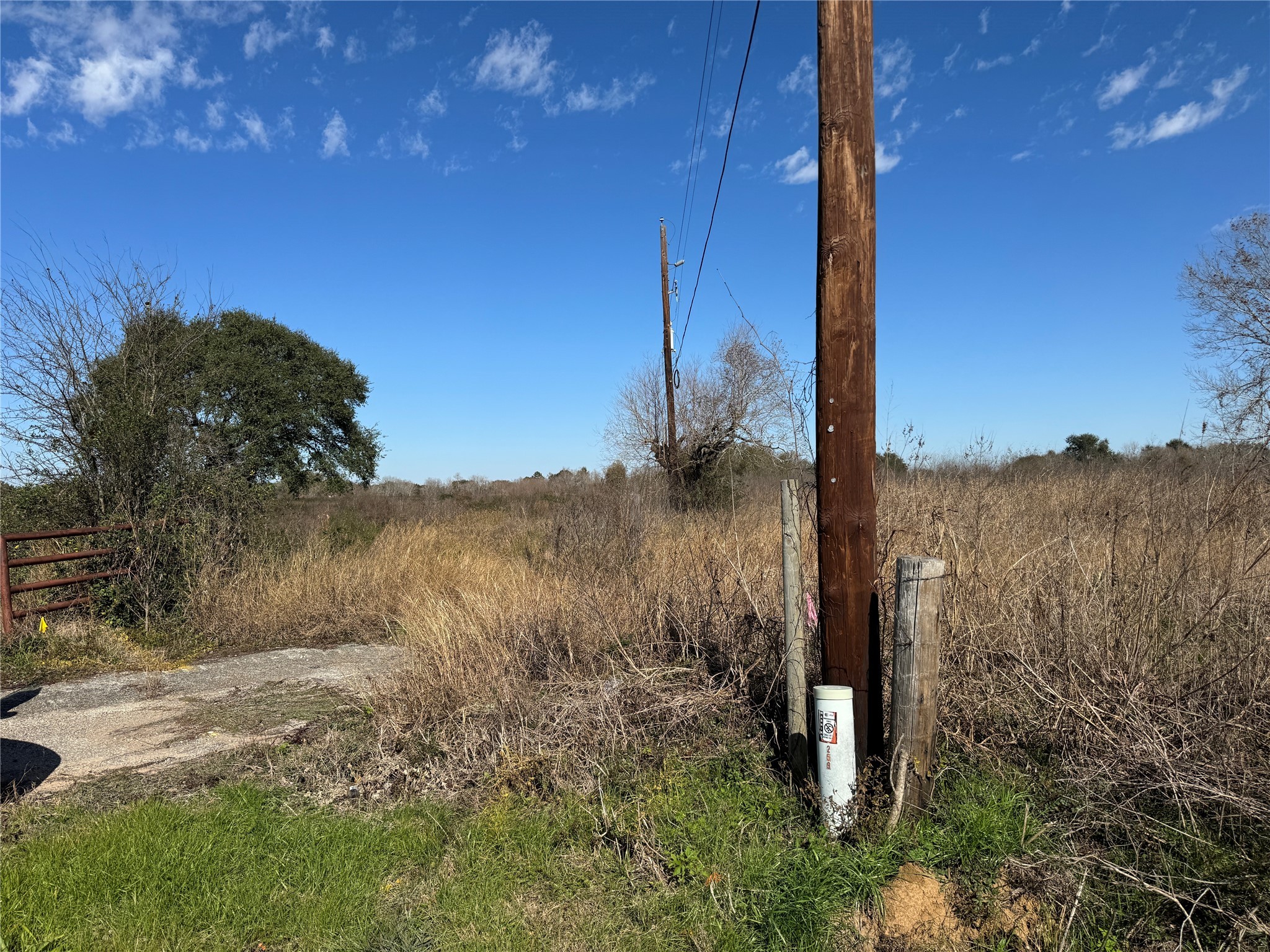 359 Rd Fulshear Tx 77406 Road Fulshear, TX 77441 - Photo 13 of 16 a view of a yard with a tree