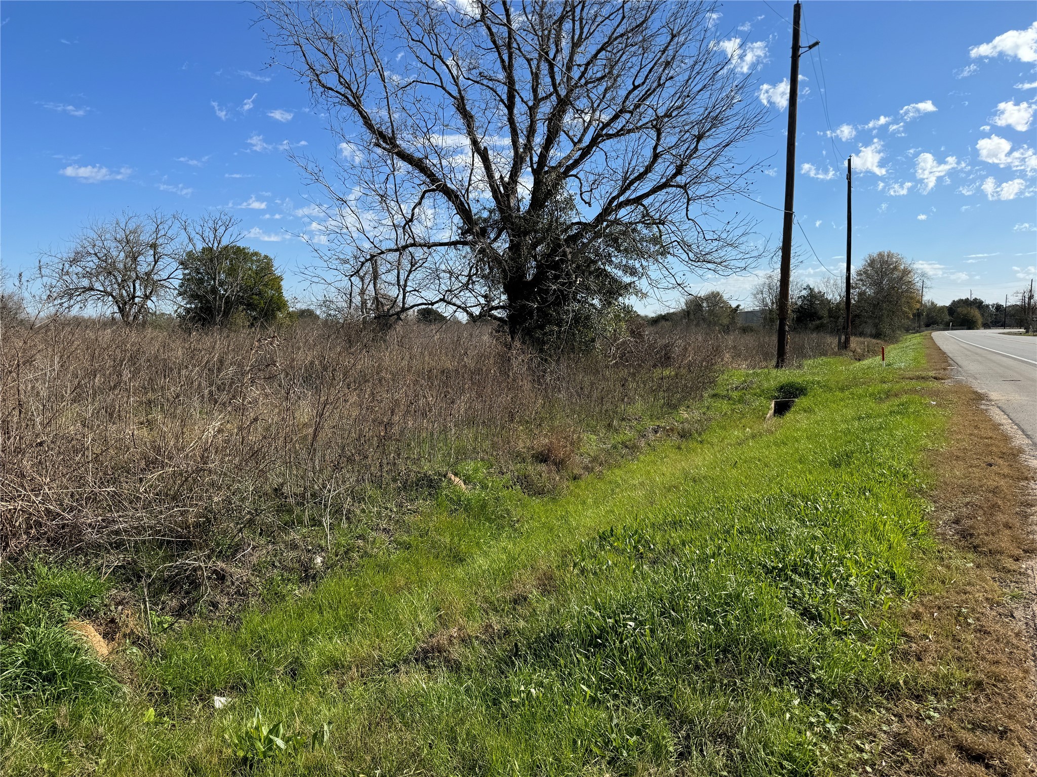 359 Rd Fulshear Tx 77406 Road Fulshear, TX 77441 - Photo 14 of 16 a backyard of a house with lots of green space
