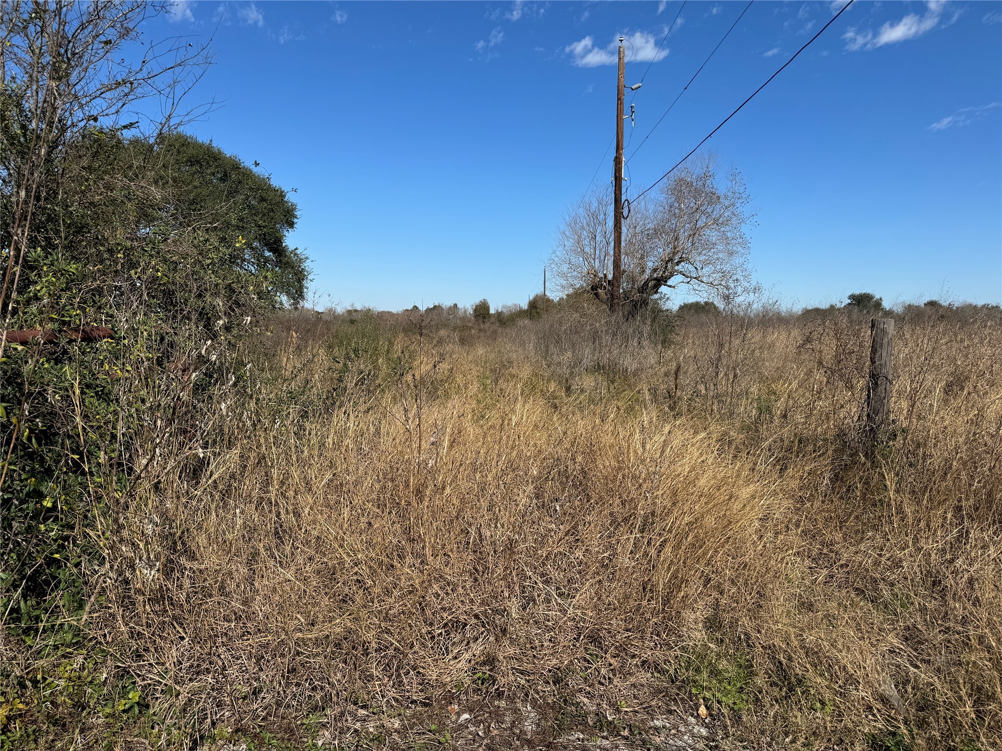 359 Rd Fulshear Tx 77406 Road Fulshear, TX 77441 - Photo 16 of 16 a backyard of a house