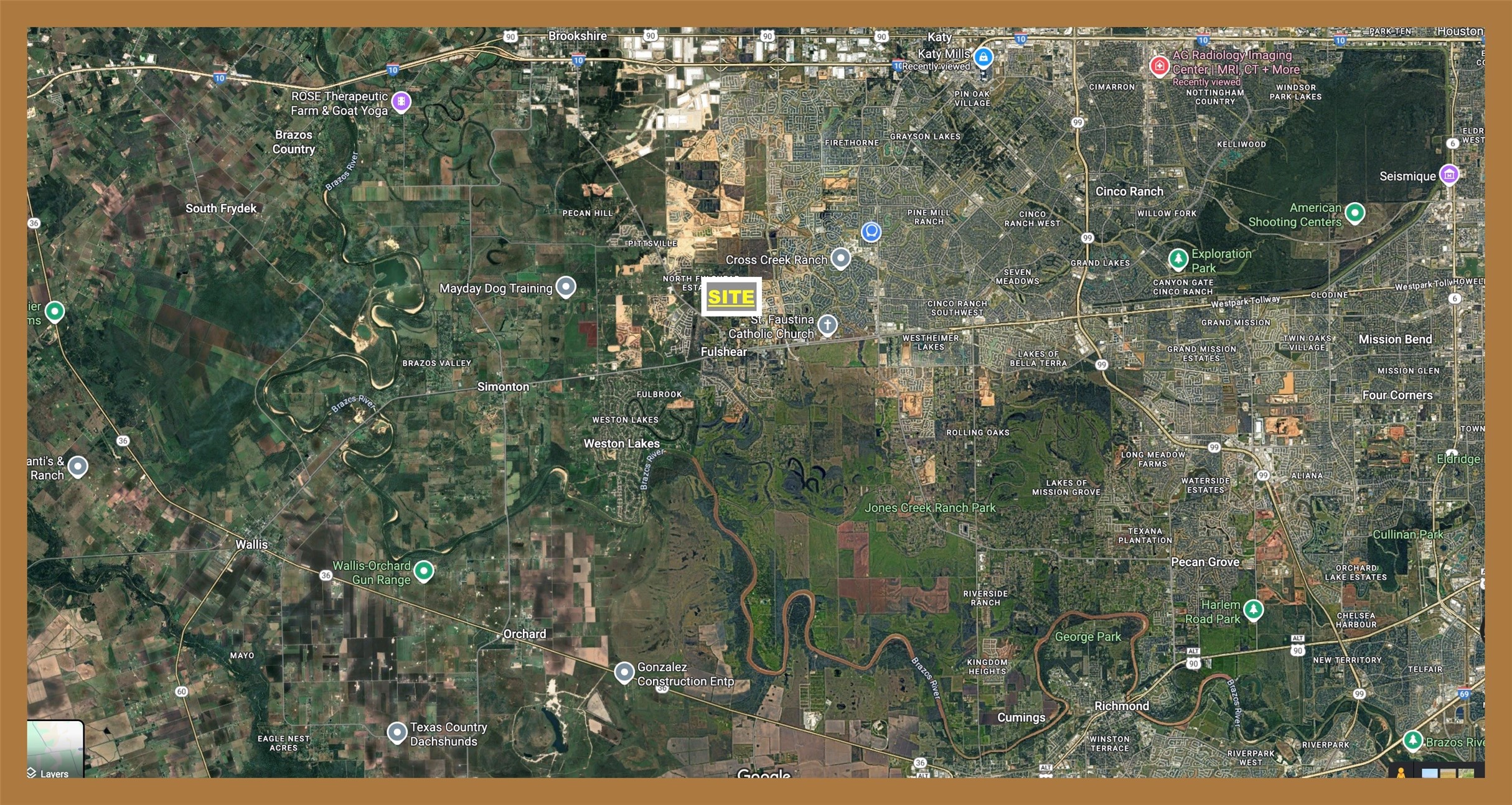 359 Rd Fulshear Tx 77406 Road Fulshear, TX 77441 - Photo 6 of 16 a close up of a plant in a forest