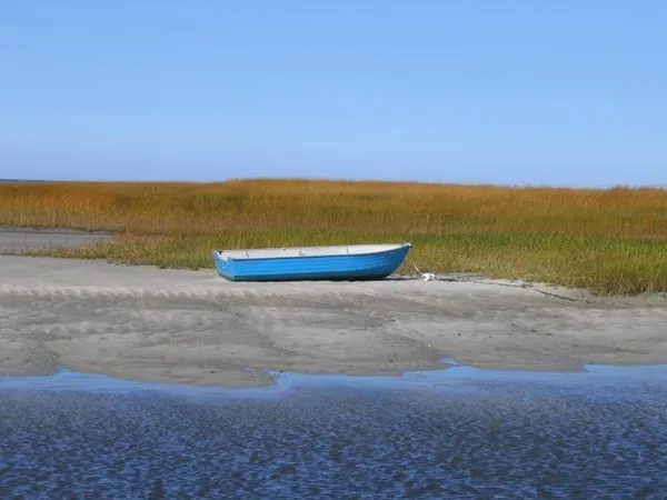 a view of an ocean and beach