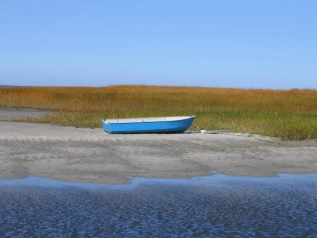 a view of an ocean and beach