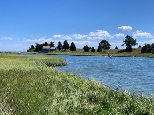 1061 State Highway, Unit 4 Eastham, MA 02642 - Photo 26 of 27 a view of an outdoor space and yard