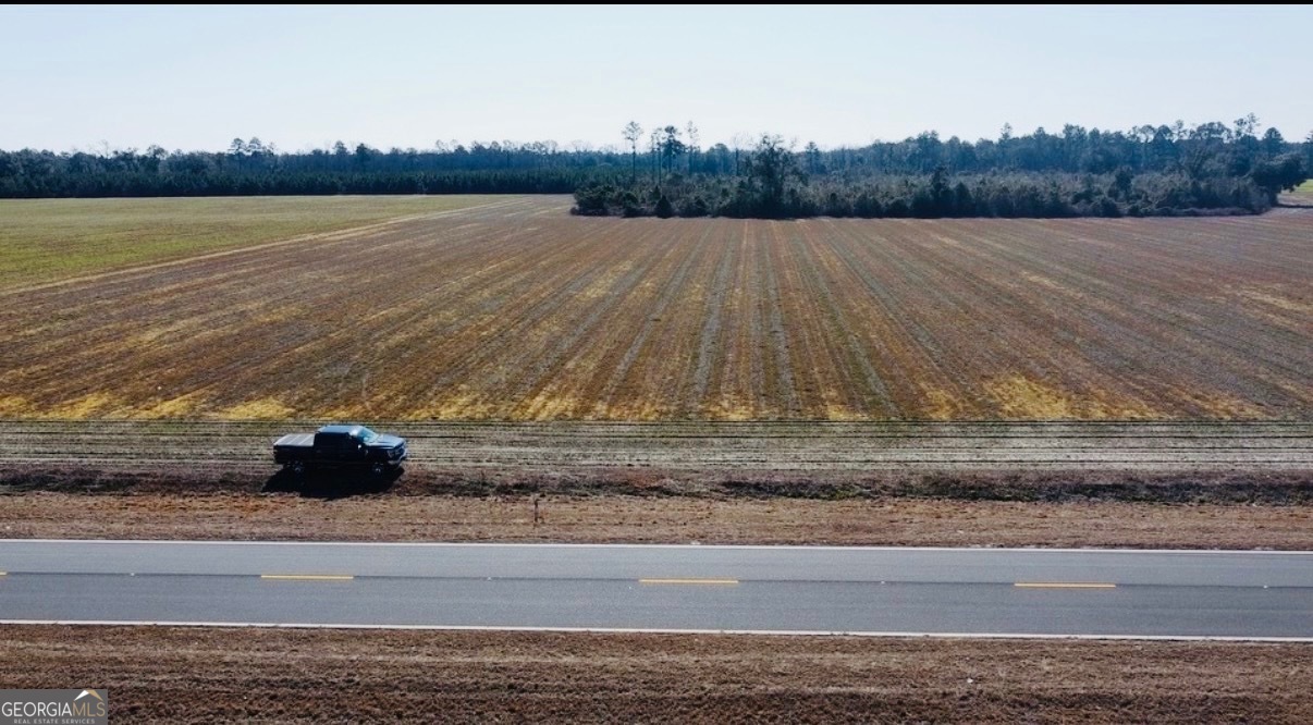 0 Pw Clifton Road Brooklet, GA 30415 - Photo 2 of 8