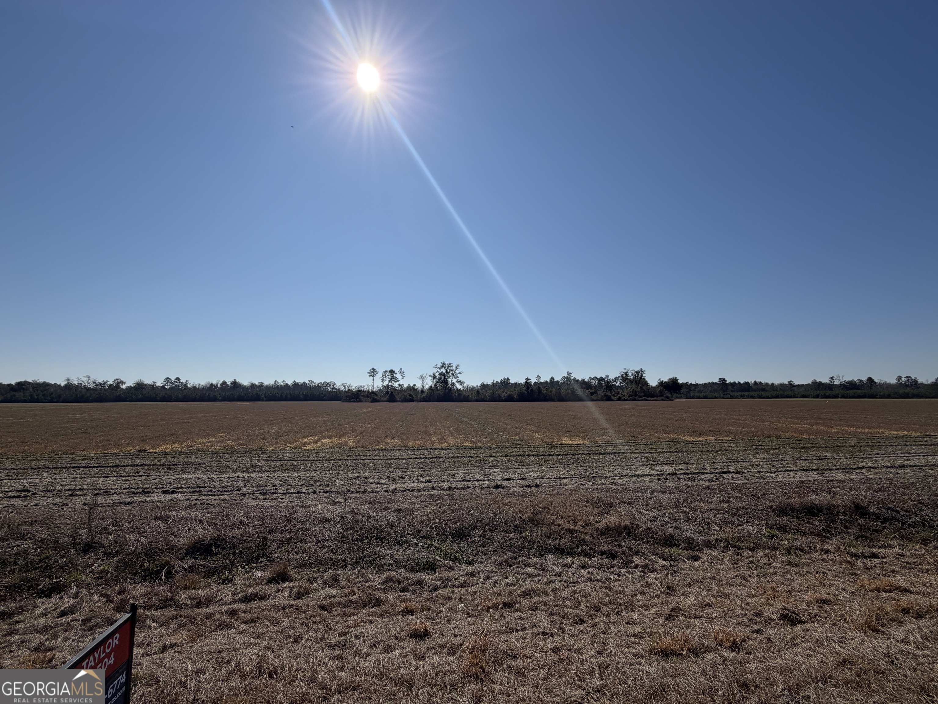 0 Pw Clifton Road Brooklet, GA 30415 - Photo 3 of 8