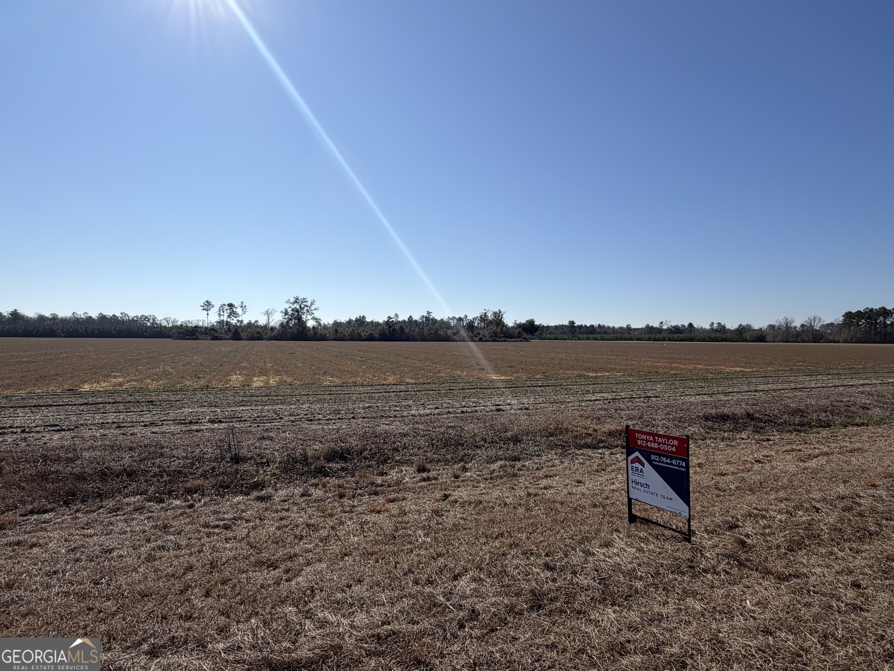 0 Pw Clifton Road Brooklet, GA 30415 - Photo 4 of 8