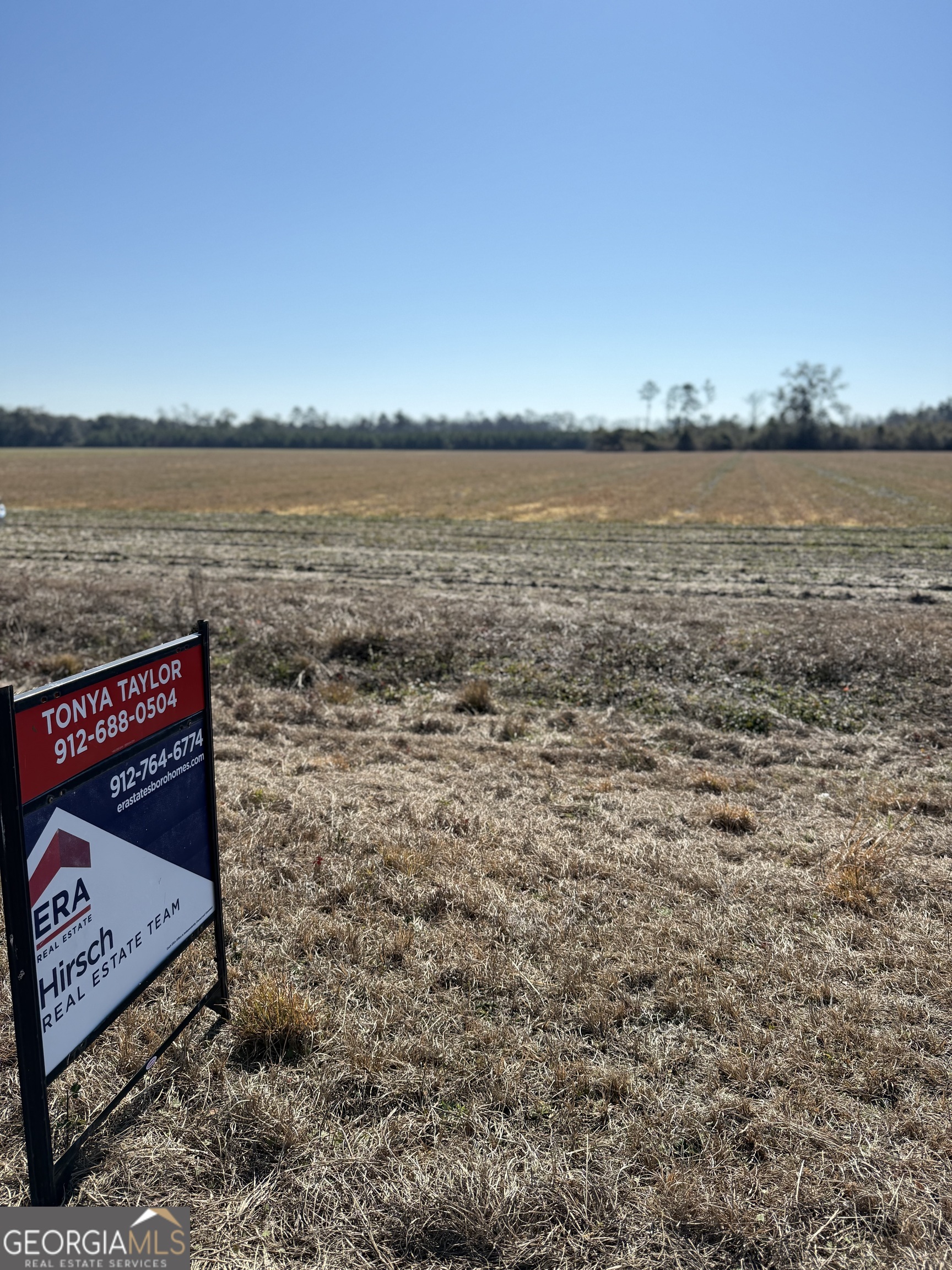 0 Pw Clifton Road Brooklet, GA 30415 - Photo 5 of 8