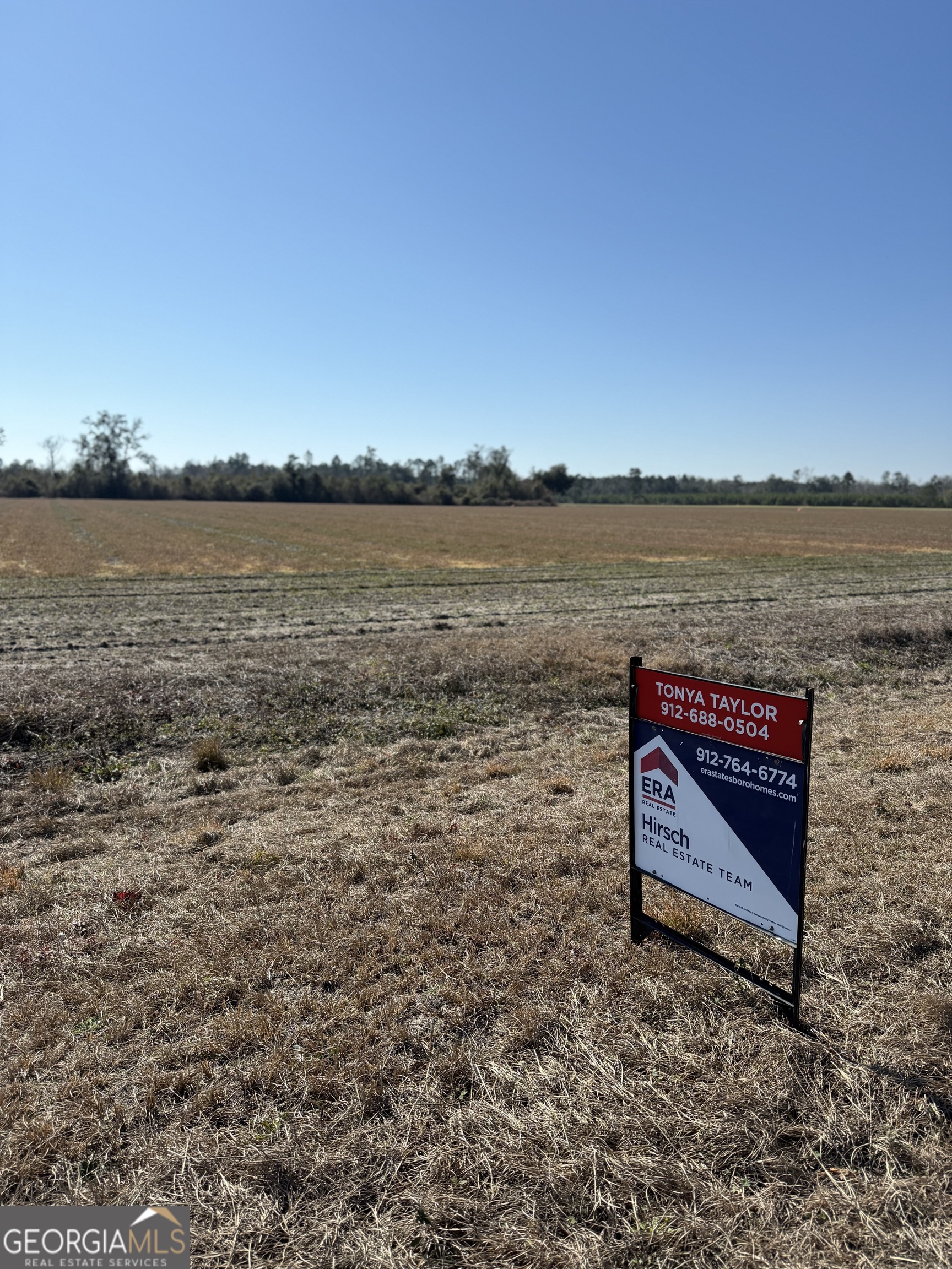 0 Pw Clifton Road Brooklet, GA 30415 - Photo 6 of 8