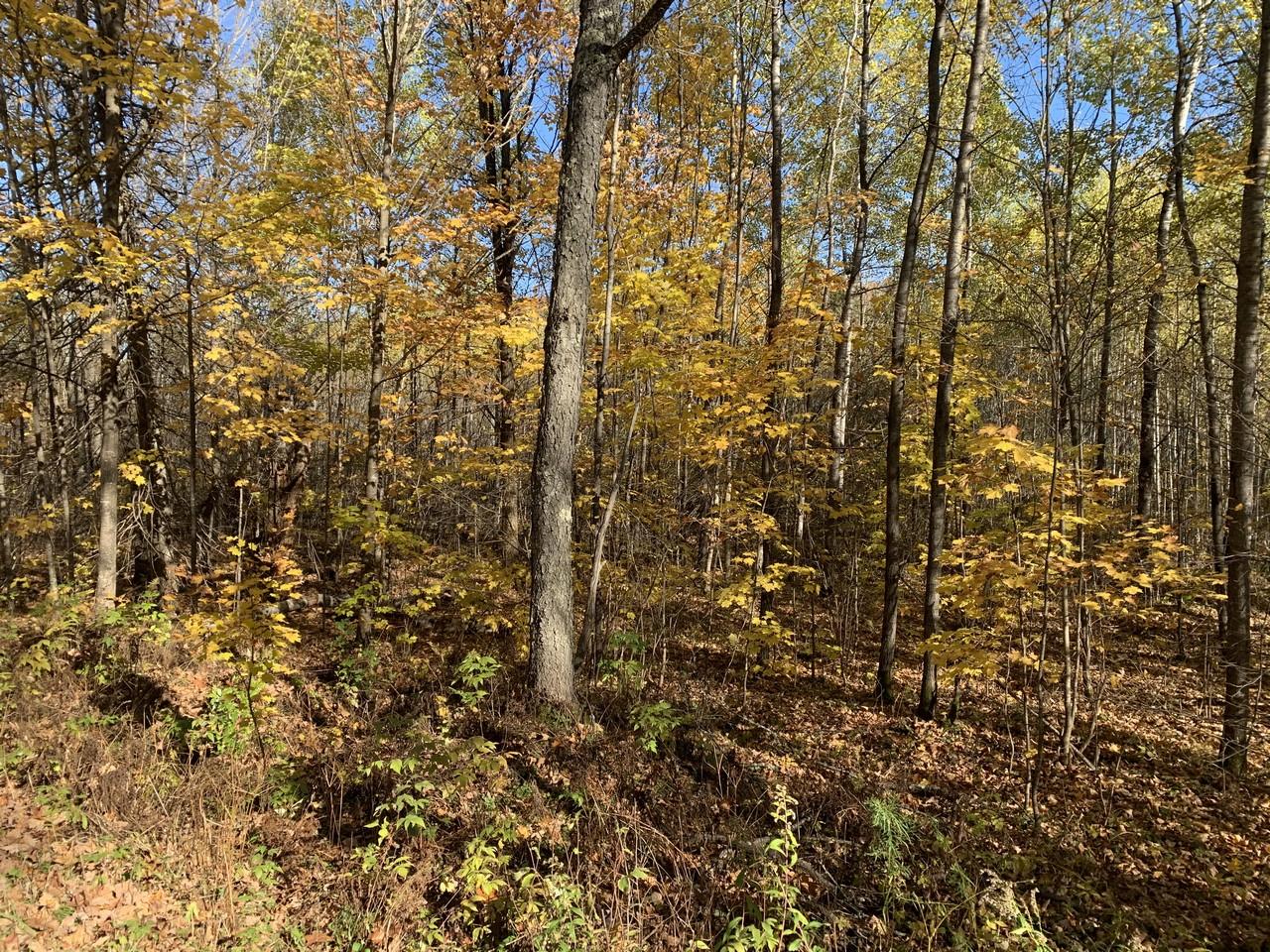 On Military Road, Unit 61 ACRES Eagle River, WI 54521 - Photo 5 of 17 Gallery Image 5