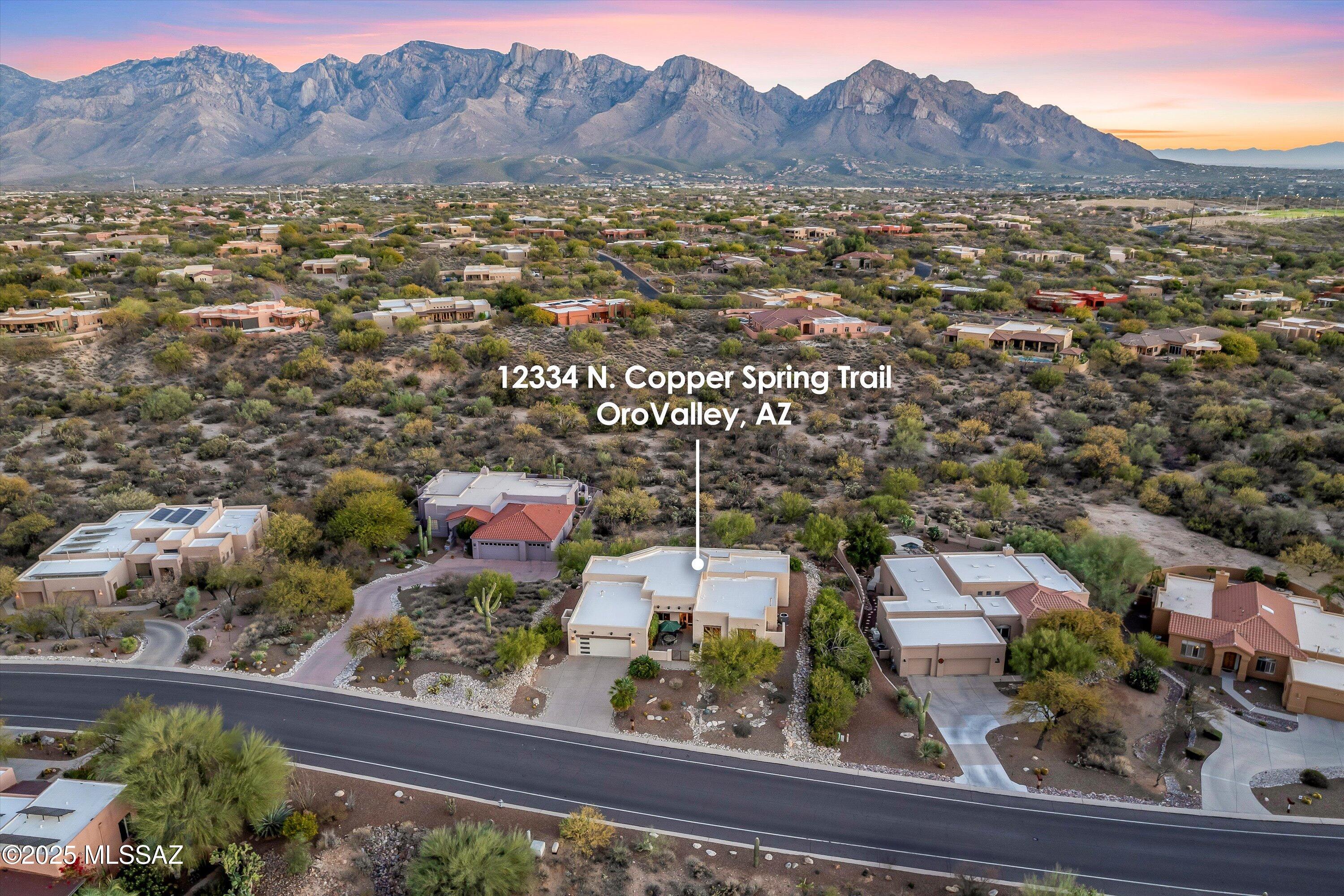 12334 North Copper Spring Trail Tucson, AZ 85755 - Photo 43 of 43