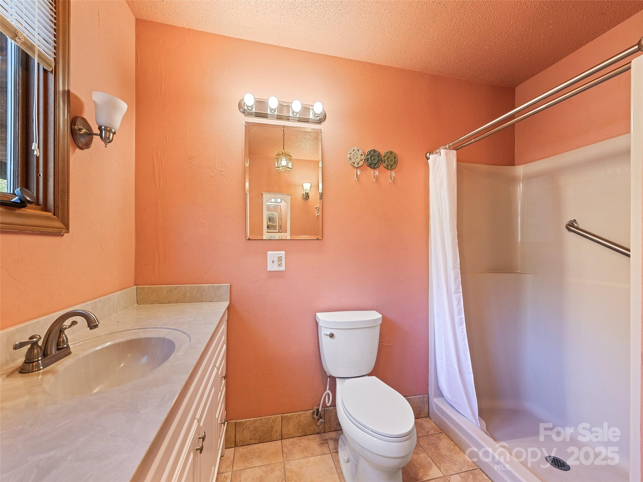 182 Laurel Branch Road Maggie Valley, NC 28751 - Photo 45 of 48 a bathroom with a sink a toilet a mirror and shower
