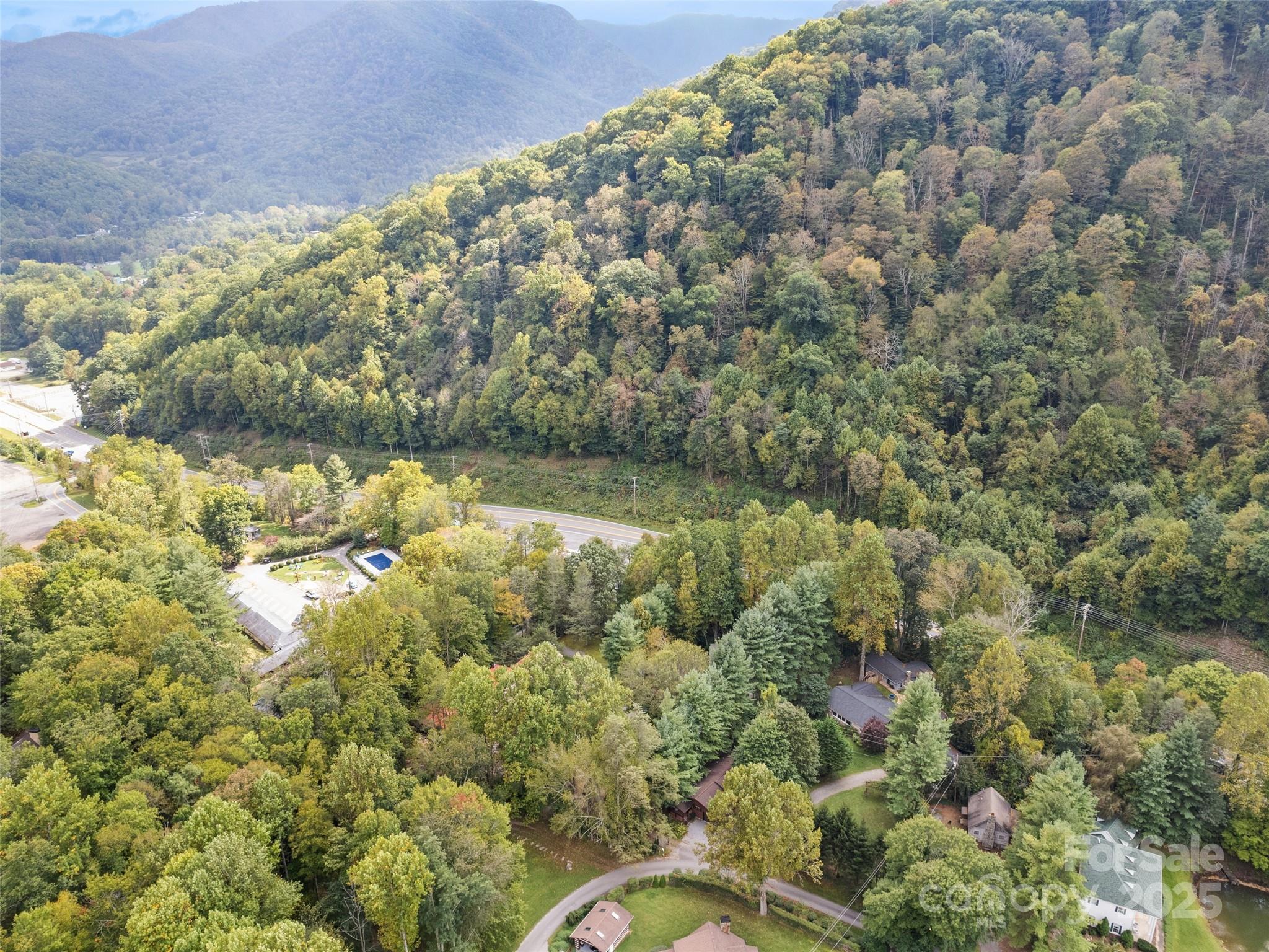 182 Laurel Branch Road Maggie Valley, NC 28751 - Photo 9 of 48 a view of a lake with a mountain
