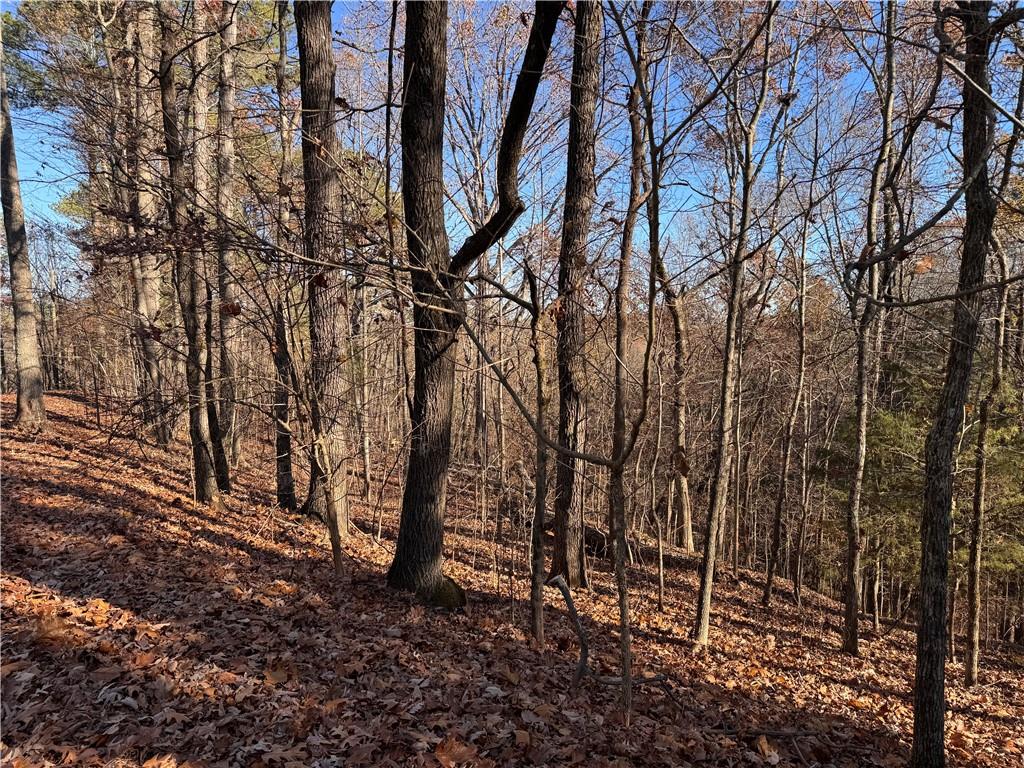129 Adair Drive Ranger, GA 30734 - Photo 1 of 12 a backyard of a house with lots of green space