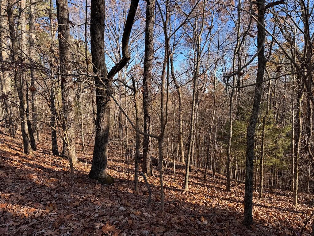 129 Adair Drive Ranger, GA 30734 - Photo 2 of 12 a backyard of a house with lots of green space