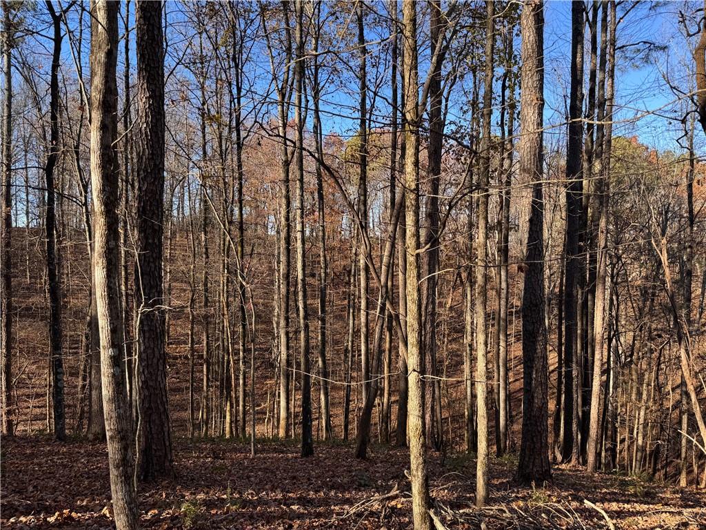 129 Adair Drive Ranger, GA 30734 - Photo 4 of 12