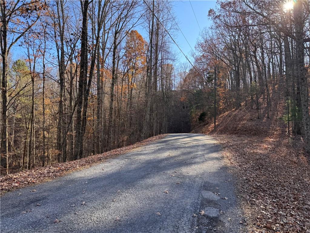 129 Adair Drive Ranger, GA 30734 - Photo 5 of 12 a backyard of a house with lots of green space