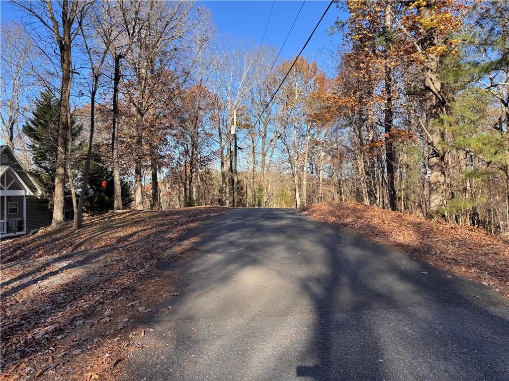 129 Adair Drive Ranger, GA 30734 - Photo 6 of 12 a view of road with covered with trees