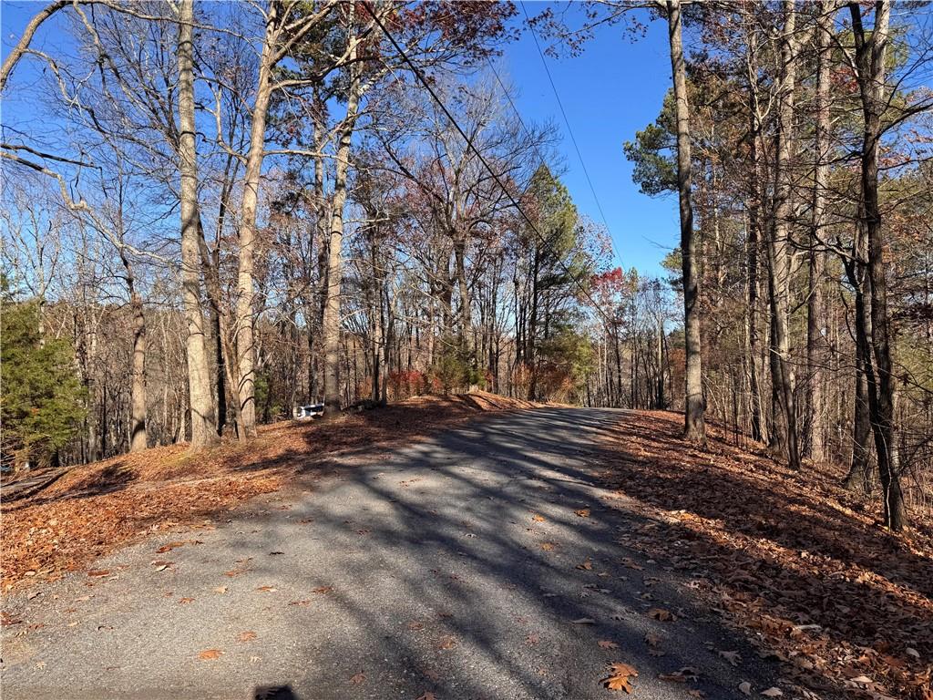 129 Adair Drive Ranger, GA 30734 - Photo 7 of 12