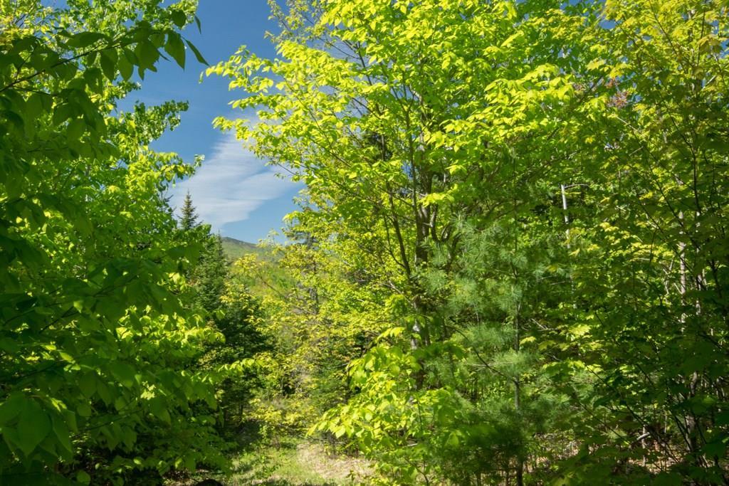 7 Spruce Mountain Road Avon, ME 04966 - Photo 8 of 10 Land