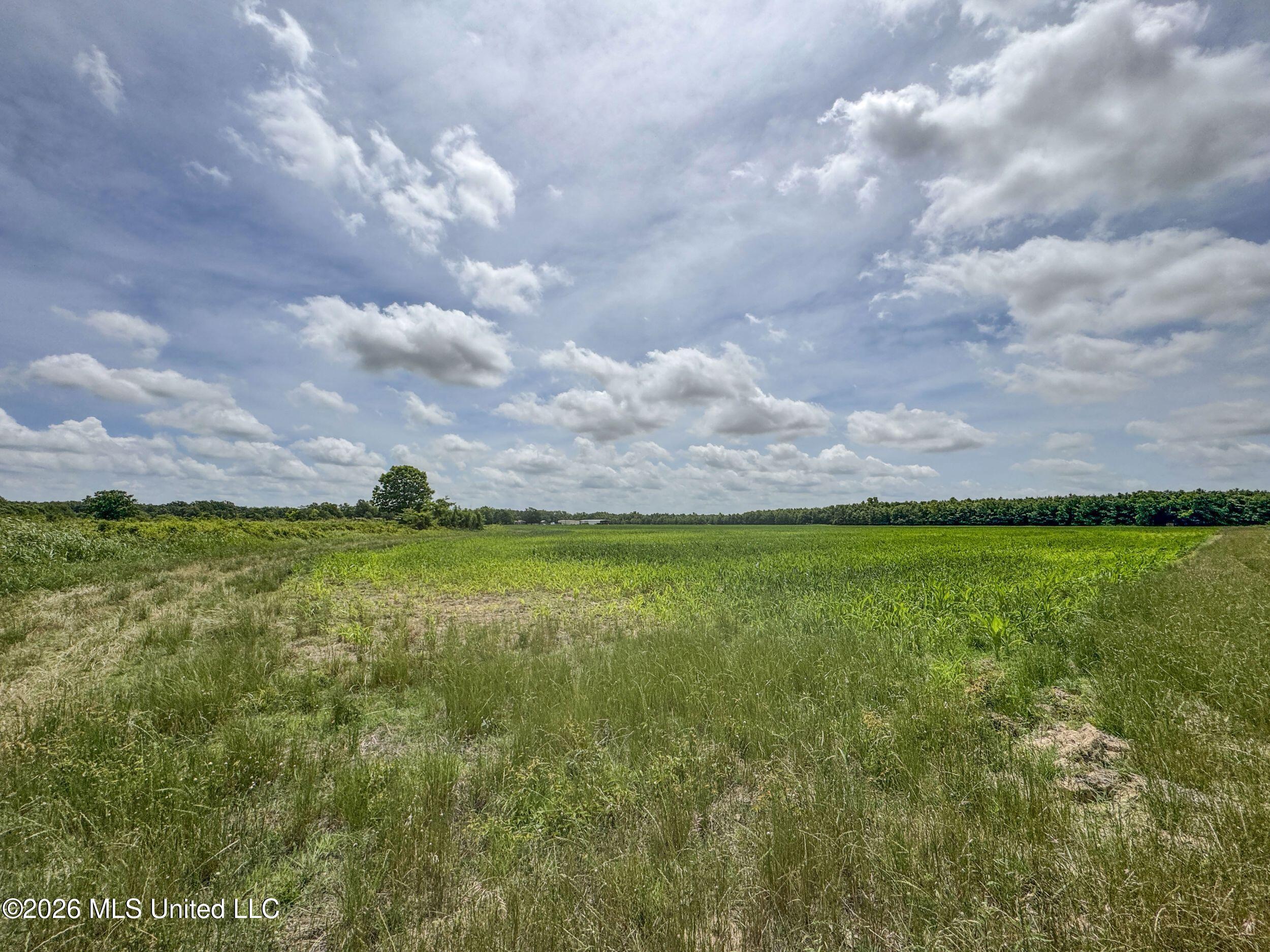 Dummyline Road Batesville, MS 38606 - Photo 43 of 44 5tndllnd14