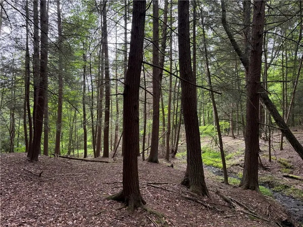 $149,900 | Tinkertown Road North, Addison, NY 14801