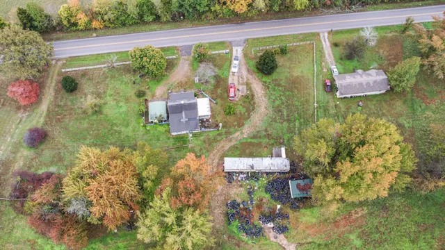 a bird view of a garden