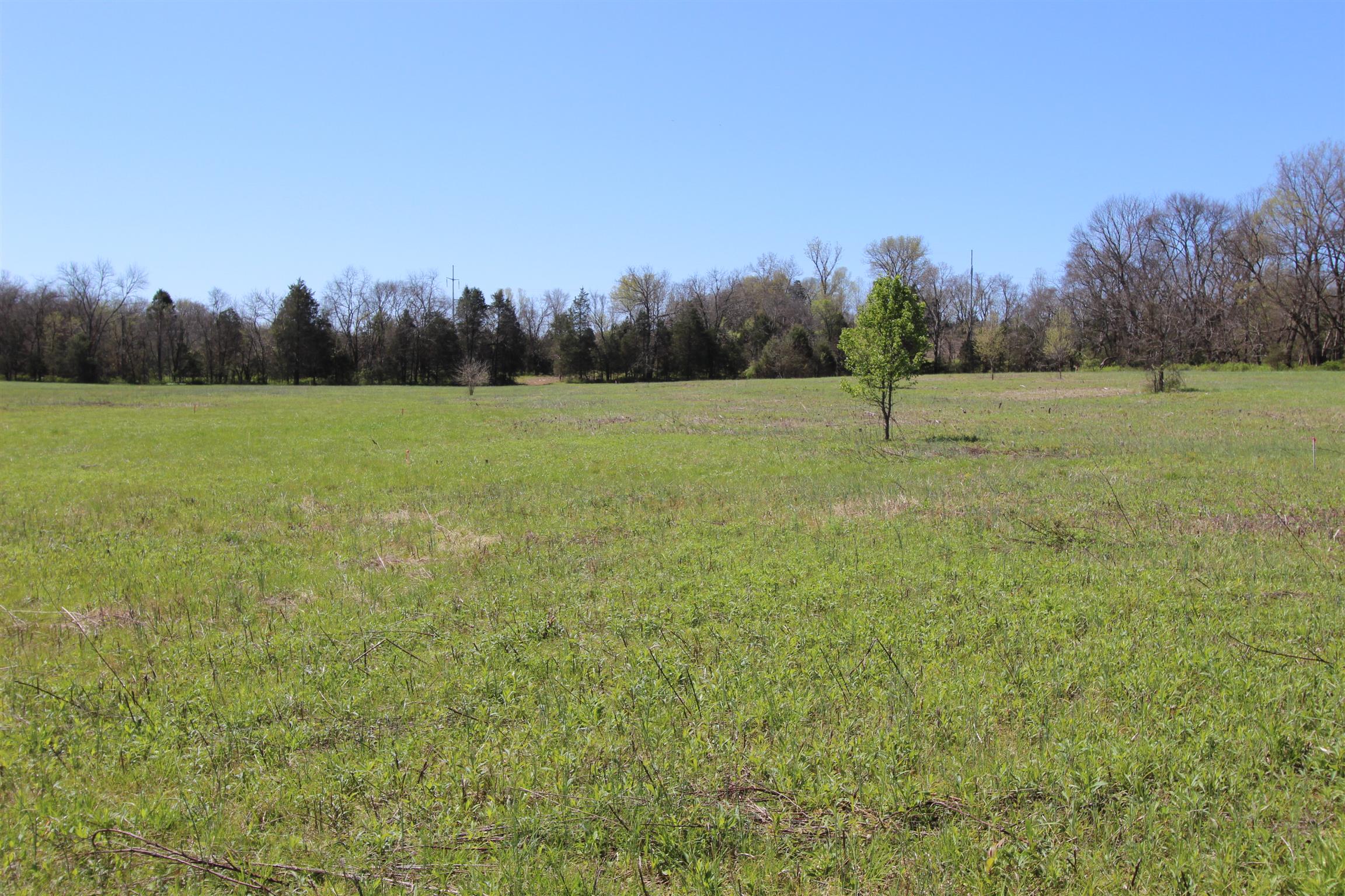 1 Turner Road Watertown, TN 37184 - Photo 11 of 25 a view of outdoor space with field and trees