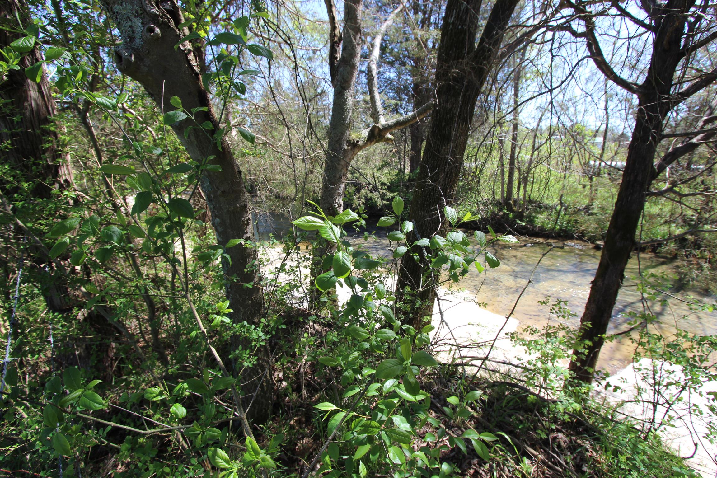 1 Turner Road Watertown, TN 37184 - Photo 13 of 25 a view of a yard