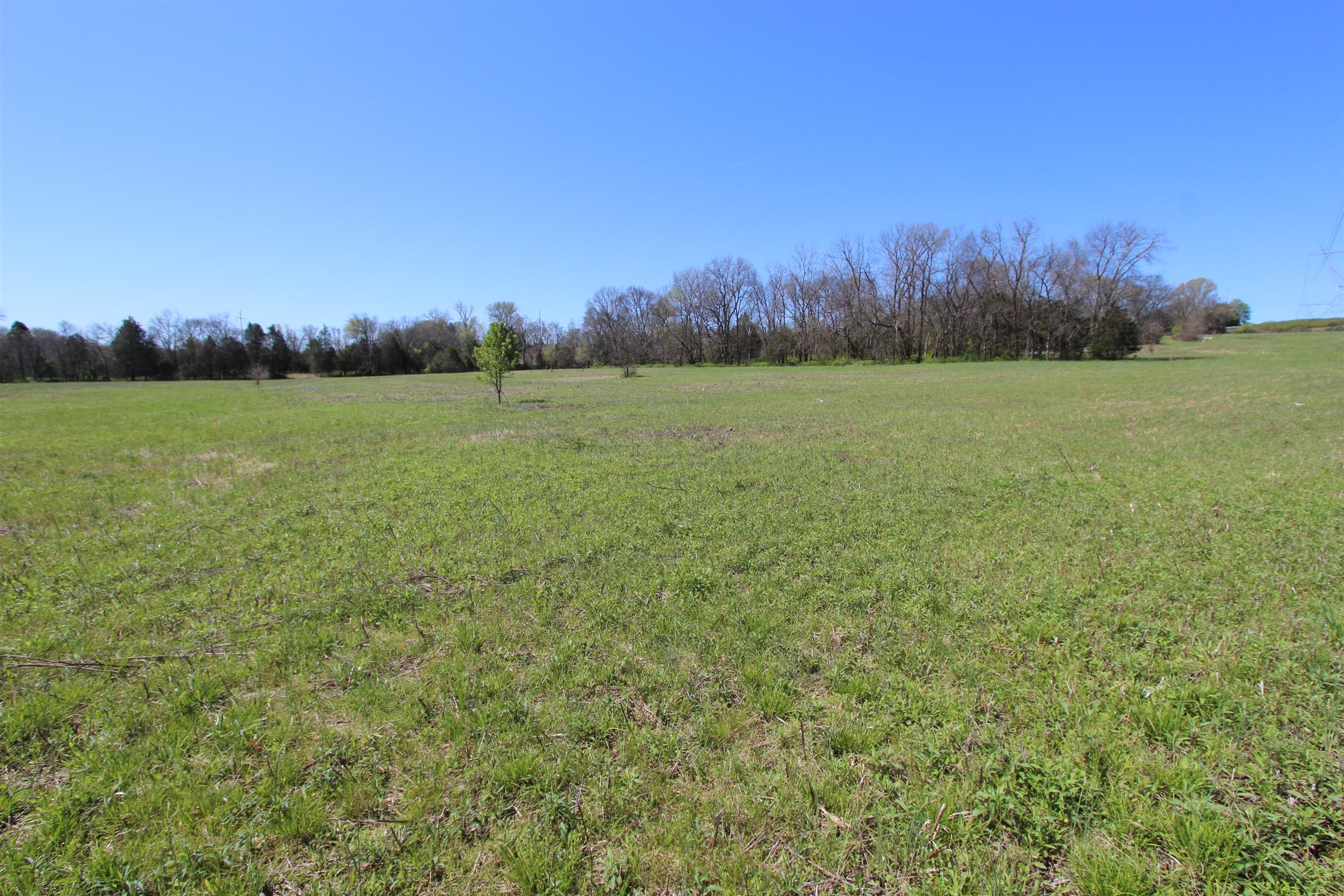 1 Turner Road Watertown, TN 37184 - Photo 18 of 25 a view of a field with trees in the background