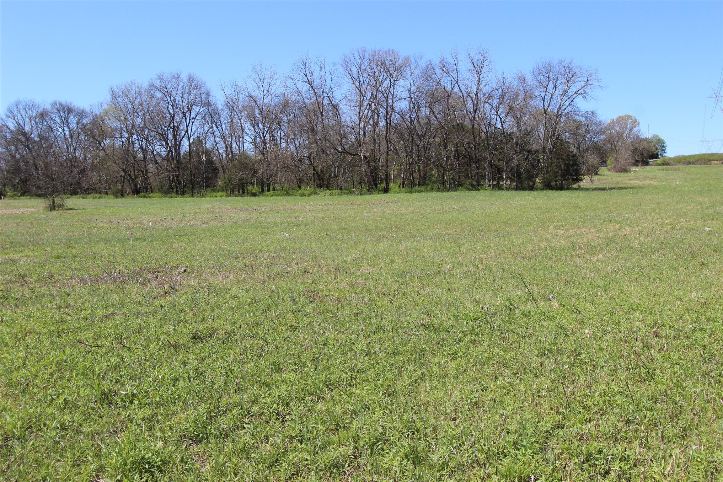 1 Turner Road Watertown, TN 37184 - Photo 19 of 25 a view of a field with trees in the background