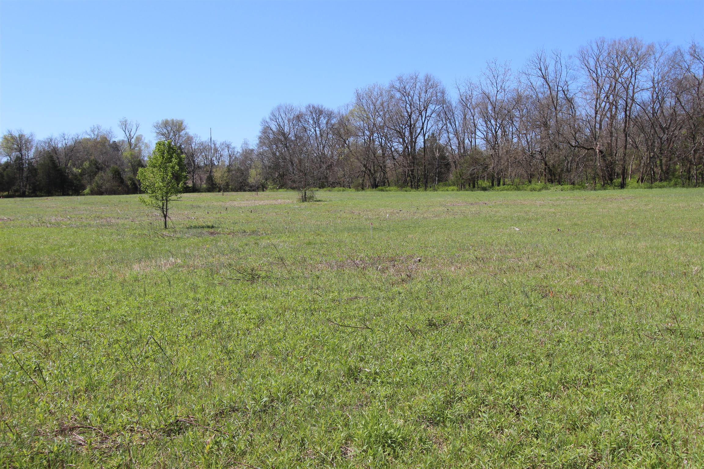 1 Turner Road Watertown, TN 37184 - Photo 20 of 25 a view of a field with trees in the background