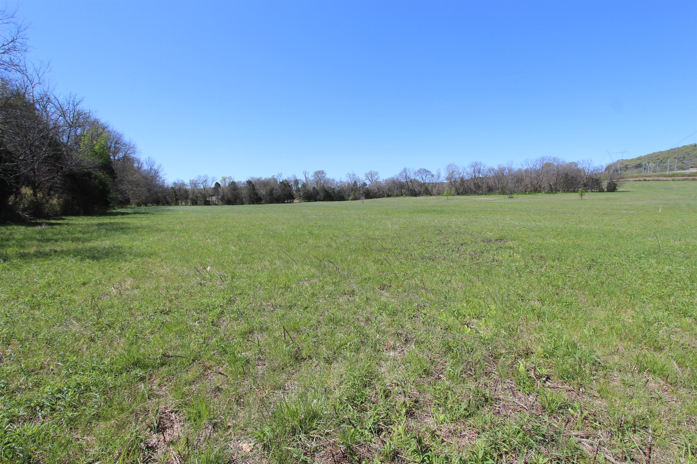 1 Turner Road Watertown, TN 37184 - Photo 3 of 25 a view of field with grass and trees