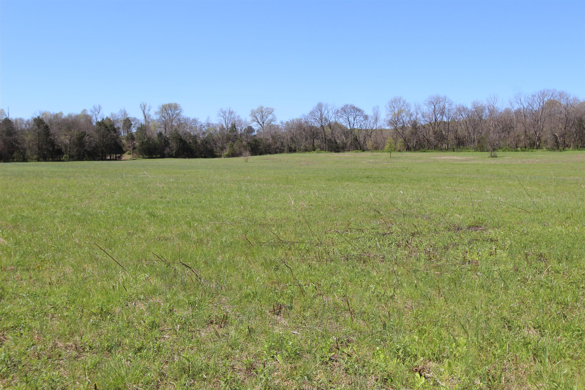 1 Turner Road Watertown, TN 37184 - Photo 6 of 25 a view of a field with trees in the background
