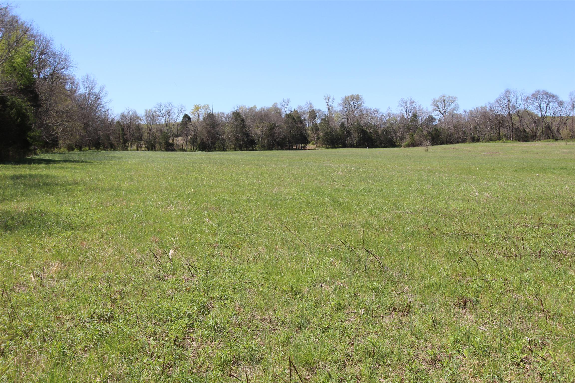 1 Turner Road Watertown, TN 37184 - Photo 7 of 25 a view of a field with trees in the background