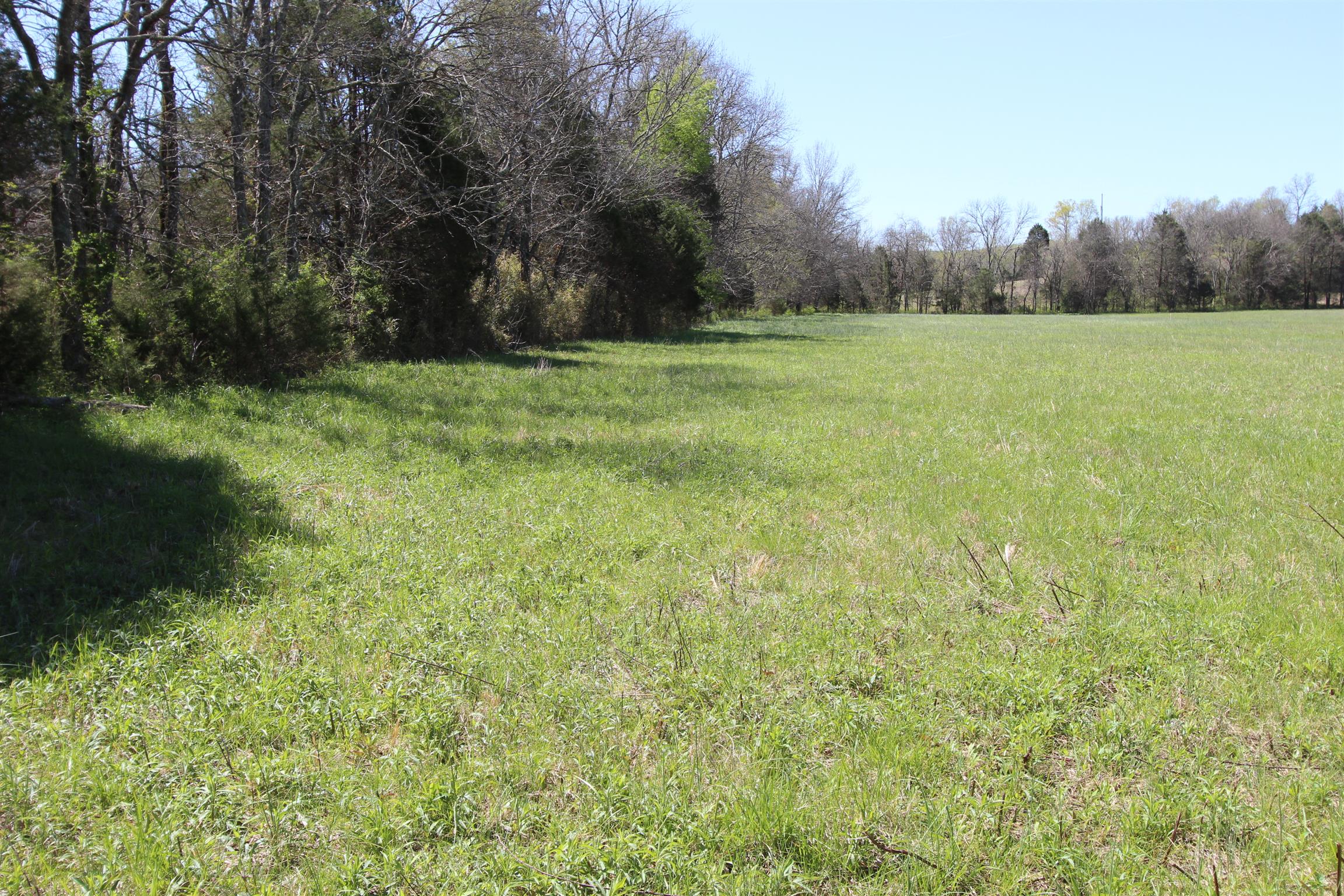 1 Turner Road Watertown, TN 37184 - Photo 8 of 25 a view of outdoor space and yard