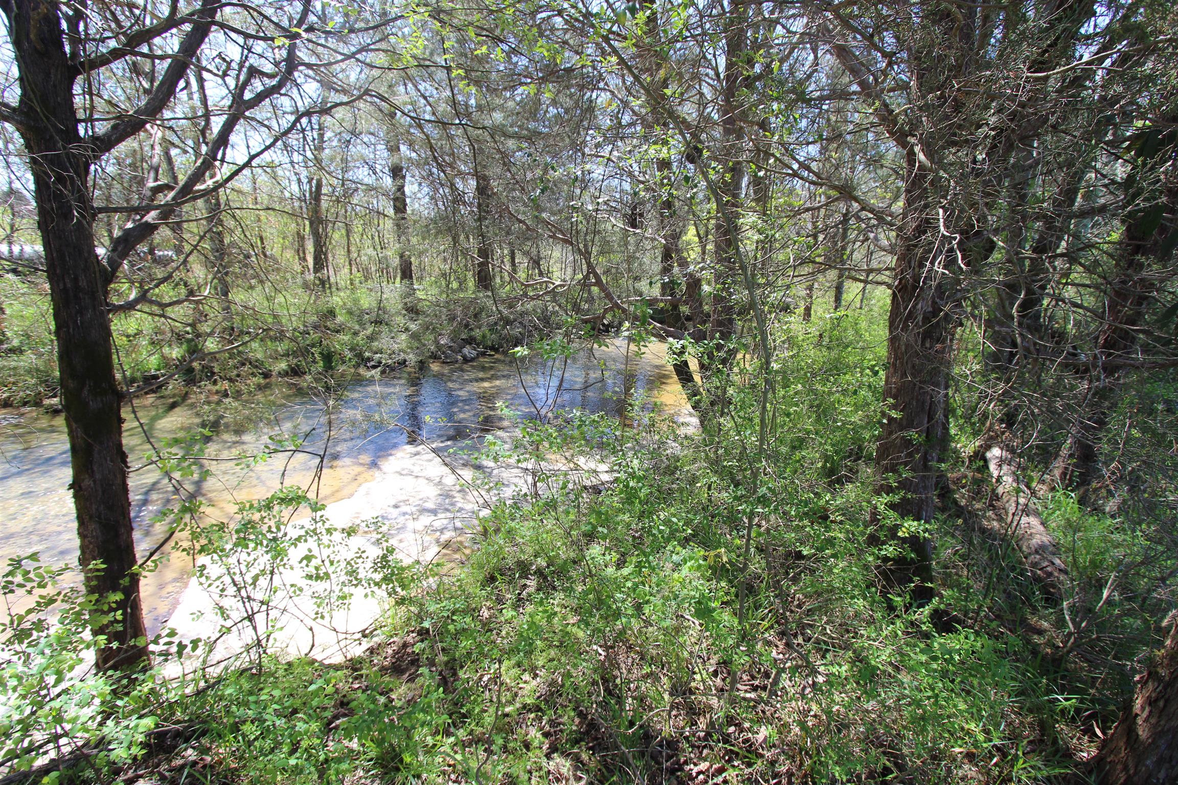 1 Turner Road Watertown, TN 37184 - Photo 9 of 25 a backyard of a house with lots of green space