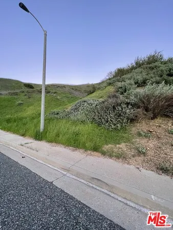 a view of a road from a yard