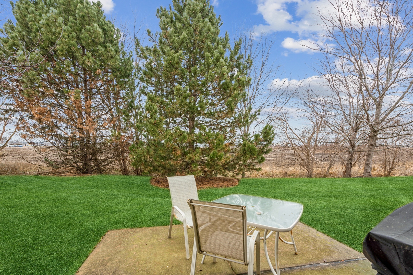 13494 Delaney Road Huntley, IL 60142 - Photo 3 of 13