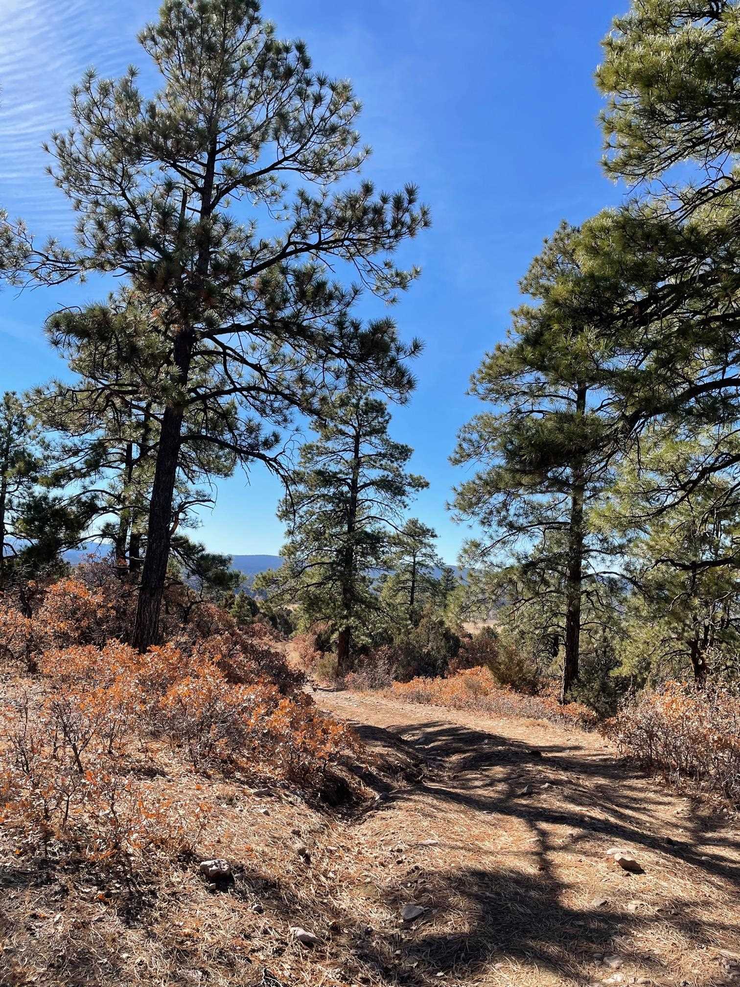 5 Unit 1 Chama, NM 87520 - Photo 1 of 1